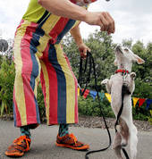 Clown Adam All Sorts Clown Christchurch Central (8013) Event Managers 4_small