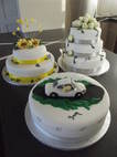 Creative Cakes by Sally Mae