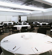 Conferences and Meetings