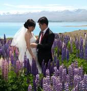 Lupin Wedding Lake Tekapo Wedding