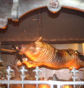 Settlers Country Manor Waimauku (0812) Wedding Venues 9_small