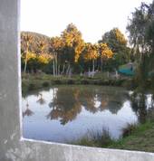 Adrenalin Paintball- LaserWar Paraparaumu (5032) Paintball & Lasertag Venues 10_small
