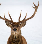 F-stop Image & Frame Rangiora (7400) Photographers 2_small