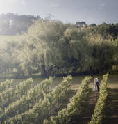 Wedding at Villa Maria Winery in Auckland