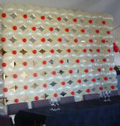 Balloon Backdrop