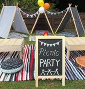 Picnic Play Party