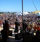 Festivals (Hokitika Wildfoods Festival)