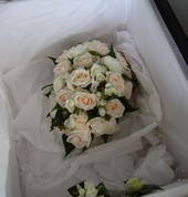 A.V.I - Creative Films and Photography Stanley Point (0624) Videographers 1_small