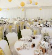 Taupo Hire Ltd Taupo (3330) Bar Equipment Hire 1_small