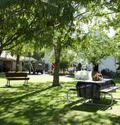 Cobblestones Museum Greytown (5712) Historic Venues 3_small