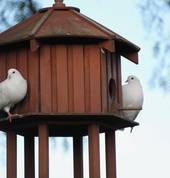 Ryland Estate Boutique Bed and Breakfast and Wedding Venue Blenheim (7272) Hotels & Resorts 4_small