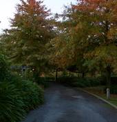 Ryland Estate Boutique Bed and Breakfast and Wedding Venue Blenheim (7272) Hotels & Resorts 5_small