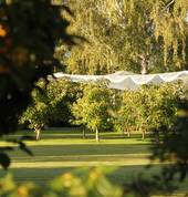 Ryland Estate Boutique Bed and Breakfast and Wedding Venue Blenheim (7272) Hotels & Resorts 3_small