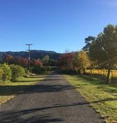 Ryland Estate Boutique Bed and Breakfast and Wedding Venue Blenheim (7272) Hotels & Resorts 10_small