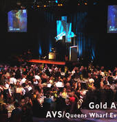 The gold awards 2006