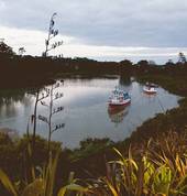 Ferry boats arriving from Auckland