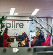 Harding Consultants Ltd Christchurch (7674) Event Managers 7_small