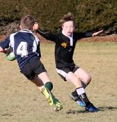 Action shots a speciality