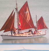 Jack Tar Sailing Co Lyttelton City (8082) Boats & Cruises 3_small