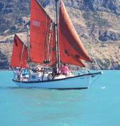 Jack Tar Sailing Co Lyttelton City (8082) Boats & Cruises 4_small
