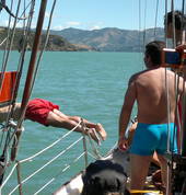 Jack Tar Sailing Co Lyttelton City (8082) Boats & Cruises 5_small