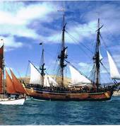 Jack Tar Sailing Co Lyttelton City (8082) Boats & Cruises 9_small