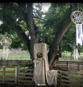 Tanya Breen Celebrant Whangamata (3620) Celebrants & Clergy 6_small