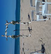 Tanya Breen Celebrant Whangamata (3620) Celebrants & Clergy 5_small