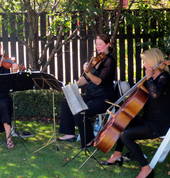 Haydn String Quartet Ngaio (6035) Bands 2_small