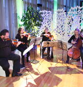 Haydn String Quartet Ngaio (6035) Bands 3_small