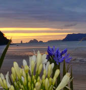 Sovereign Pier on the Waterways Whitianga (3510) Hotels & Resorts 6_small