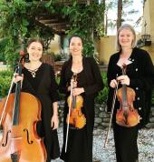 Autangi Ensemble Tauranga (3110) Musicians 2_small