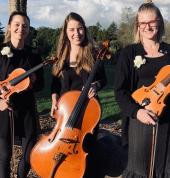 Autangi Ensemble Tauranga (3110) Musicians 1_small