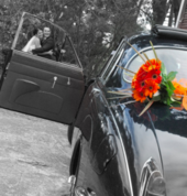 Aristocrat Auto Hire Wellington (6021) Vintage & Classic Car Hire 5_small