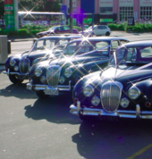 Aristocrat Auto Hire Wellington (6021) Vintage & Classic Car Hire 6_small