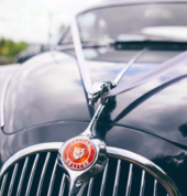 Aristocrat Auto Hire Wellington (6021) Vintage & Classic Car Hire 9_small