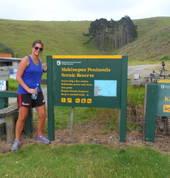 coastal walk Mahinepua penninsular