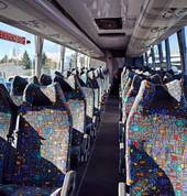 Ritchies Luxury 48 seater interior