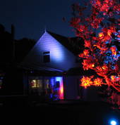 Outdoor lighting gives a moody wow factor!