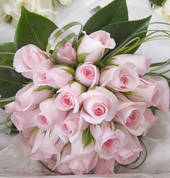 A.V.I - Creative Films and Photography Stanley Point (0624) Photographers 7_small