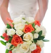 Tasman Photography Hope (7020) Photographers 1_small