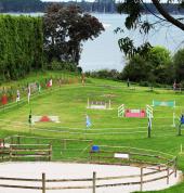 HORSE HAVEN Katikati (3129) Kids Party Venues 2_small