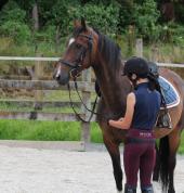 HORSE HAVEN Katikati (3129) Kids Party Venues 3_small