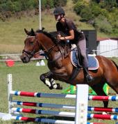 HORSE HAVEN Katikati (3129) Kids Party Venues 5_small