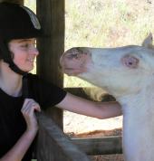 HORSE HAVEN Katikati (3129) Kids Party Venues 7_small