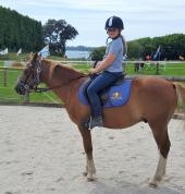 HORSE HAVEN Katikati (3129) Kids Party Venues 9_small