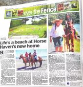 HORSE HAVEN Katikati (3129) Kids Party Venues 10_small