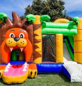 Lion Castle