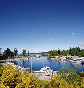 Taupo Boating Fishing Charters Taupo (3330) Boats & Cruises 6_small