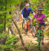Paihia Mountain Bikes Paihia (0200) Adventure Parks 2_small
